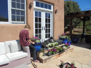 Max works on planting a pot by the door while Tuesday soaks up the sunshine.