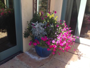 Petunias and snapdragons light up this pot.