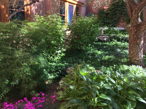 Shade gardens in Santa Fe - Santa Fe Gardening Blog